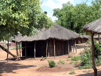 Этнографическая деревня Леседи, Замбия