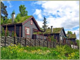 Травяные крыши для состоятельных норвежцев.