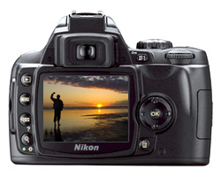    Nikon D40
